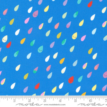 Whatever The Weather  - Jelly Roll - Paper + Cloth Studio - Moda