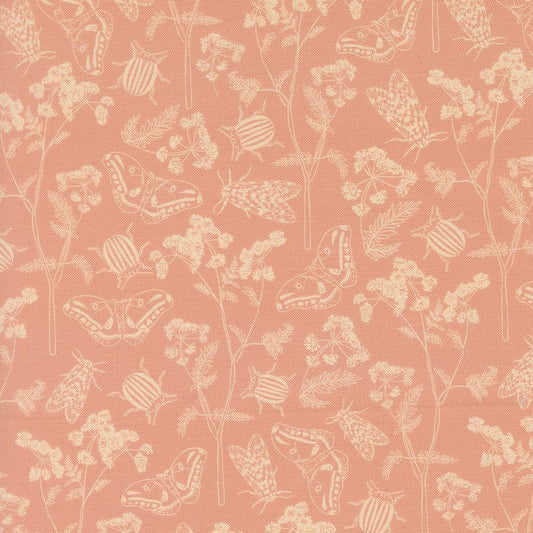 Petalush - Herb Garden in Velvet - Kiley's Quilt Room - Moda (Pre-order: Aug 2026)