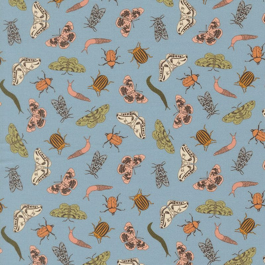 Petalush - Entomology in Wind - Kiley's Quilt Room - Moda (Pre-order: Aug 2026)