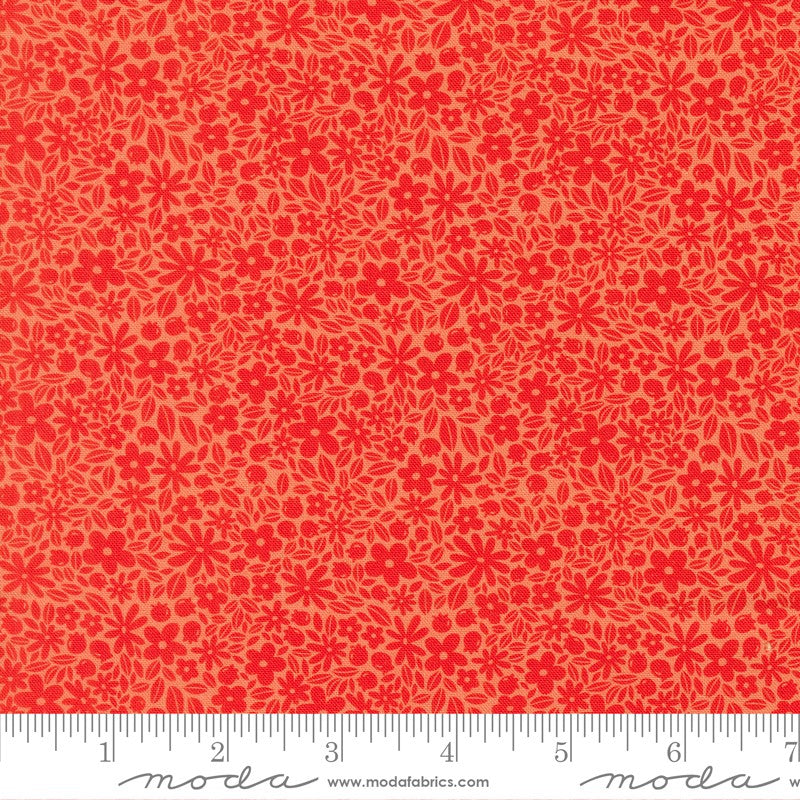 Fruitful - Layer Cake - Kiley's Quilt Room - Moda (Pre-order: April 2027)