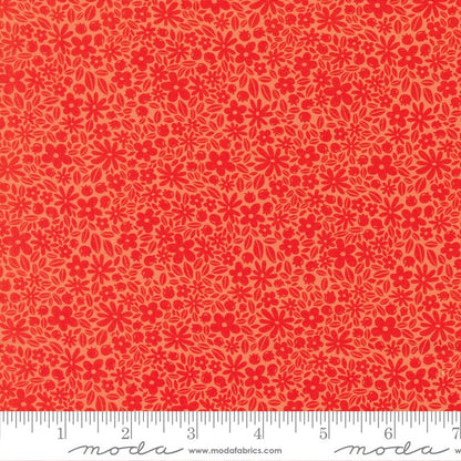 Fruitful - Layer Cake - Kiley's Quilt Room - Moda (Pre-order: April 2027)