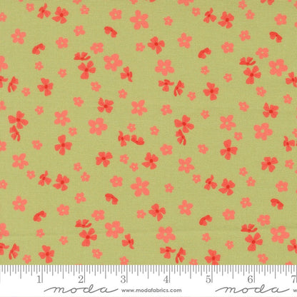Fruitful - Jelly Roll - Kiley's Quilt Room - Moda (Pre-order: April 2027)