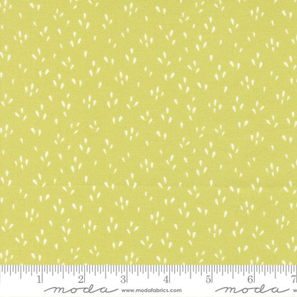 Fruitful - Layer Cake - Kiley's Quilt Room - Moda (Pre-order: April 2027)
