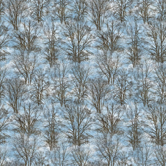 Solitude Naturescapes - Trees in Blue Multi - David Kiehm - Northcott (Pre-order: July 2024)