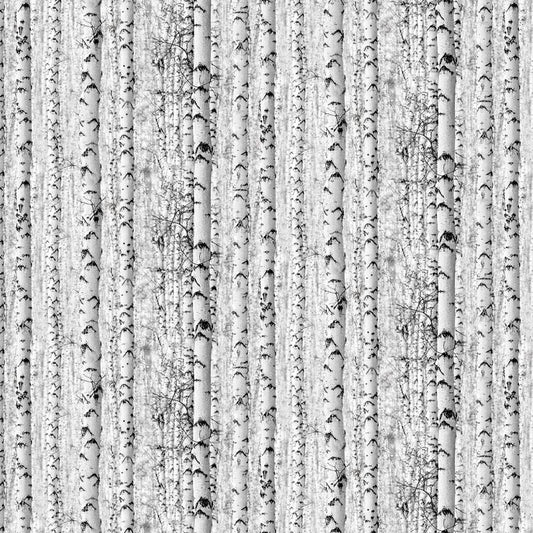 Solitude Naturescapes - Birch Trees in Grey - David Kiehm - Northcott (Pre-order: July 2024)