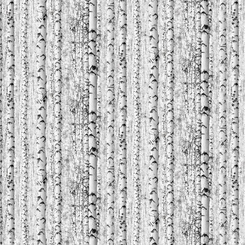 Solitude Naturescapes - Birch Trees in Grey - David Kiehm - Northcott (Pre-order: July 2024)