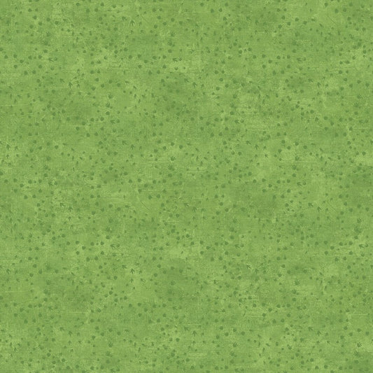 Dino Roar - Dino Tracks in Green - Brett Blumenthal - Northcott