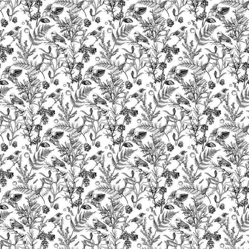 Nature's Sketchbook - Meadowlark in White/Black - Deborah Edwards - Northcott (Pre-order: Feb 2026)