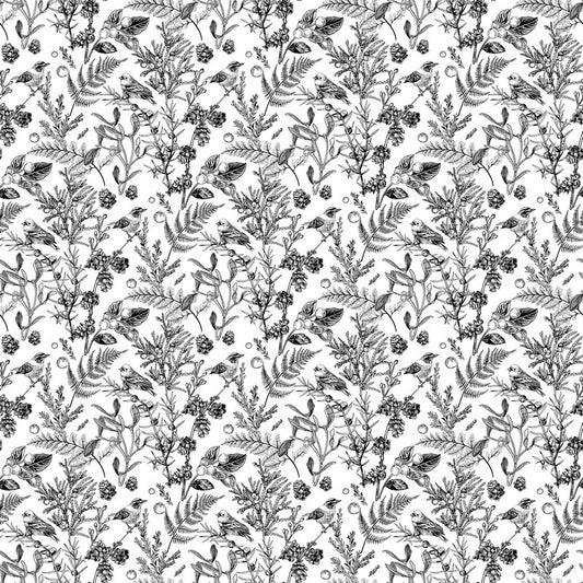 Nature's Sketchbook - Meadowlark in White/Black - Deborah Edwards - Northcott (Pre-order: Feb 2026)