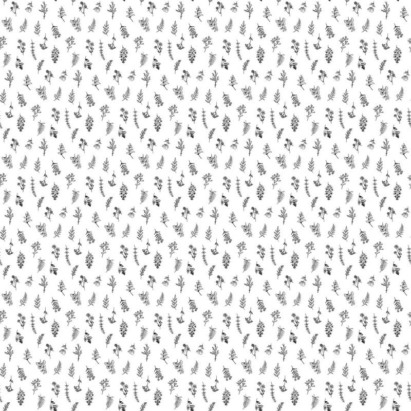 Nature's Sketchbook - Mini Floral Toss in White/Black - Deborah Edwards - Northcott (Pre-order: Feb 2026)