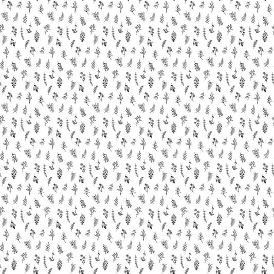 Nature's Sketchbook - Mini Floral Toss in White/Black - Deborah Edwards - Northcott (Pre-order: Feb 2026)