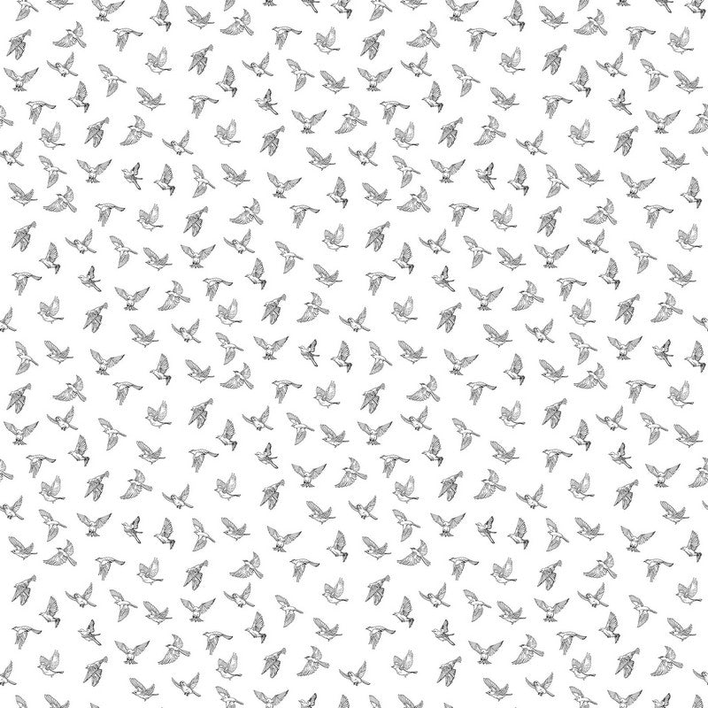 Nature's Sketchbook - Birds in Flight in White/Black - Deborah Edwards - Northcott (Pre-order: Feb 2026)
