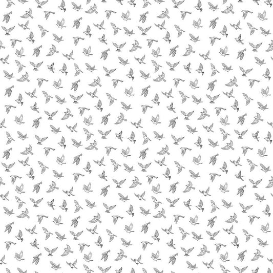 Nature's Sketchbook - Birds in Flight in White/Black - Deborah Edwards - Northcott (Pre-order: Feb 2026)