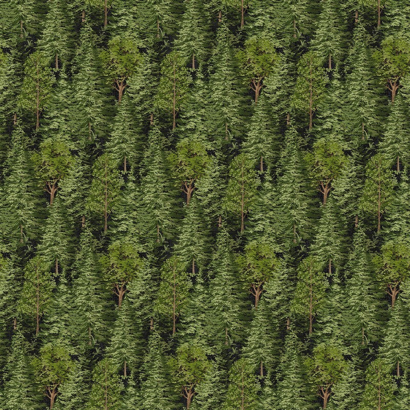 Bear Necessities - Trees in Black Multi - Deborah Edwards - Northcott (Pre-order: Feb 2026)