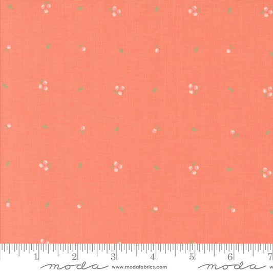 Abloom - Little Sprout in Coral - Corey Yoder - Moda