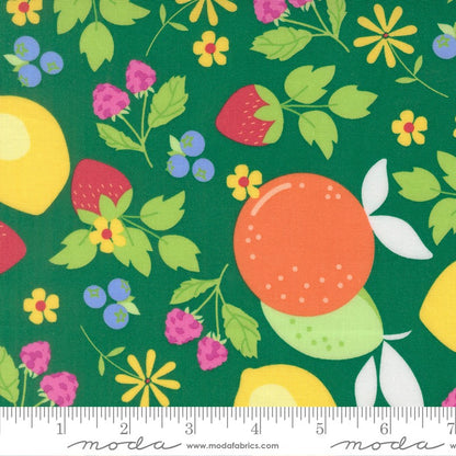 Fruit Salad - Charm Pack - Corey Yoder - Moda