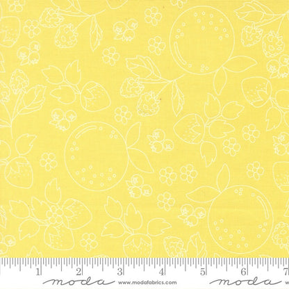 Fruit Salad - Layer Cake - Corey Yoder - Moda (Pre-order: May 2026)