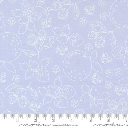 Fruit Salad - Fat Quarter Bundle - Corey Yoder - Moda (Pre-order: Jul 2026)