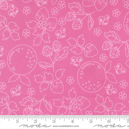 Fruit Salad - Charm Pack - Corey Yoder - Moda