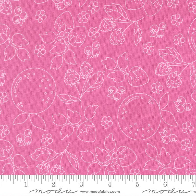 Fruit Salad - Fat Quarter Bundle - Corey Yoder - Moda (Pre-order: Jul 2026)