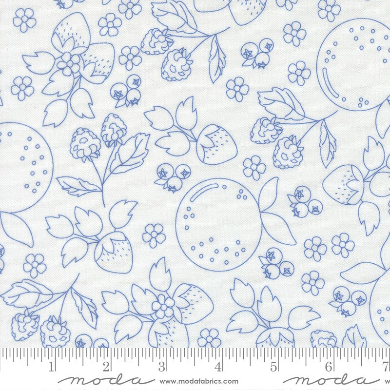Fruit Salad - Fat Quarter Bundle - Corey Yoder - Moda (Pre-order: Jul 2026)
