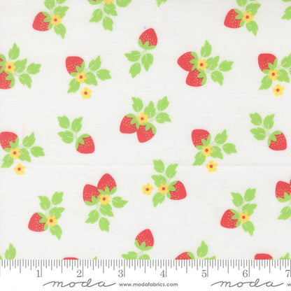 Fruit Salad - Jelly Roll - Corey Yoder - Moda