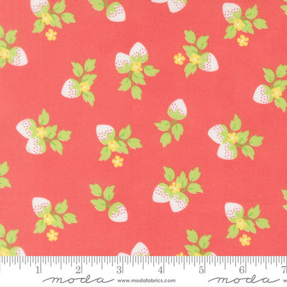 Fruit Salad - Layer Cake - Corey Yoder - Moda (Pre-order: May 2026)