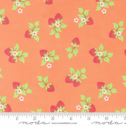 Fruit Salad - Fat Quarter Bundle - Corey Yoder - Moda (Pre-order: Jul 2026)