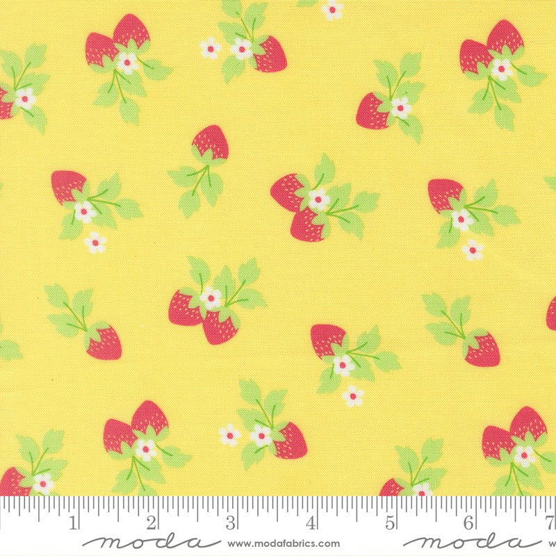 Fruit Salad - Jelly Roll - Corey Yoder - Moda