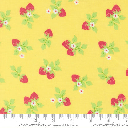 Fruit Salad - Fat Quarter Bundle - Corey Yoder - Moda (Pre-order: Jul 2026)