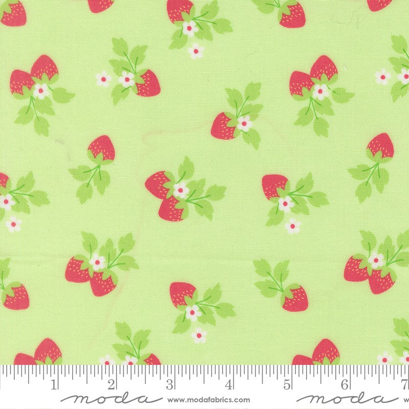 Fruit Salad - Jelly Roll - Corey Yoder - Moda