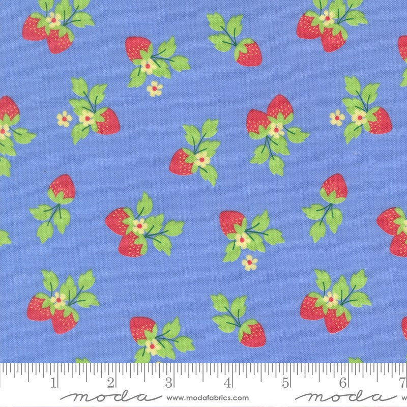 Fruit Salad - Fat Quarter Bundle - Corey Yoder - Moda (Pre-order: Jul 2026)
