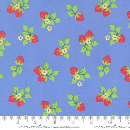 Fruit Salad - Layer Cake - Corey Yoder - Moda (Pre-order: May 2026)