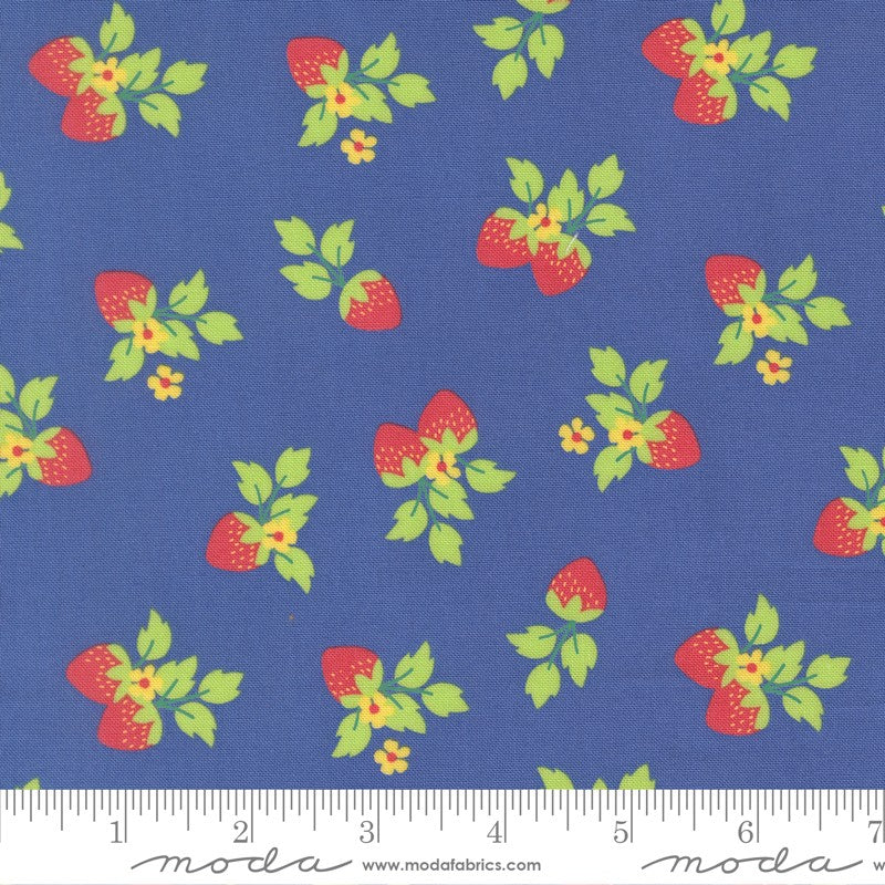 Fruit Salad - Fat Quarter Bundle - Corey Yoder - Moda (Pre-order: Jul 2026)
