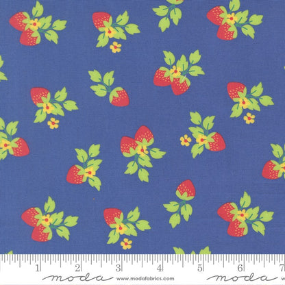 Fruit Salad - Layer Cake - Corey Yoder - Moda (Pre-order: May 2026)