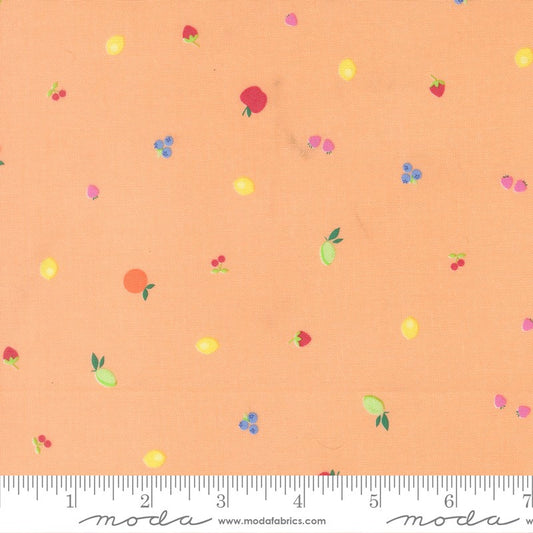 Fruit Salad - Snacks in Cantaloupe - Corey Yoder - Moda