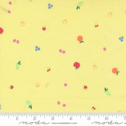 Fruit Salad - Charm Pack - Corey Yoder - Moda