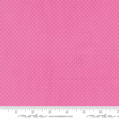 Fruit Salad - Fat Quarter Bundle - Corey Yoder - Moda (Pre-order: Jul 2026)