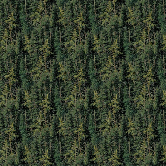 Highland Ridge - Evergreen Trees in Green - Deborah Edwards & Rosemary Millette - Northcott (Pre-order: Dec 2026)