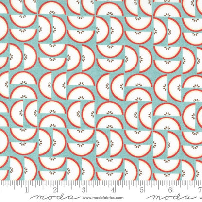 Fruit Loop - Jelly Roll - BasicGrey - Moda