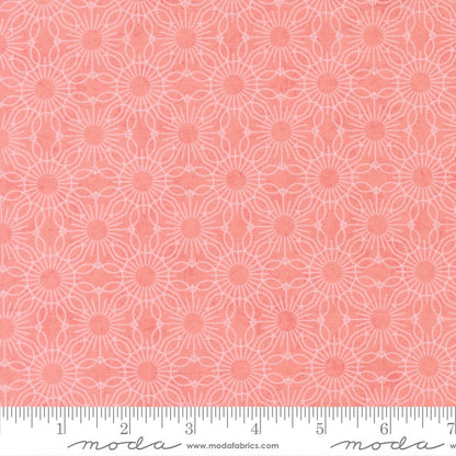 Fieldrush - Fat Quarter Bundle - BasicGrey - Moda (Pre-order: May 2026)