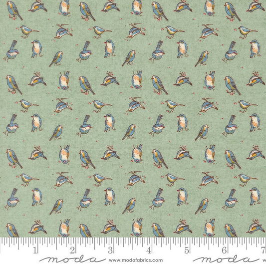 Sorrel - Orlo Birdie in Aqua - BasicGrey - Moda (Pre-order: Feb 2027)
