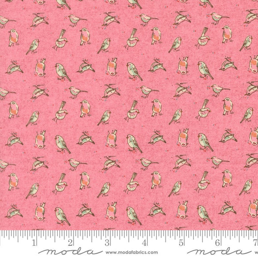 Sorrel - Orlo Birdie in Blush - BasicGrey - Moda (Pre-order: Feb 2027)