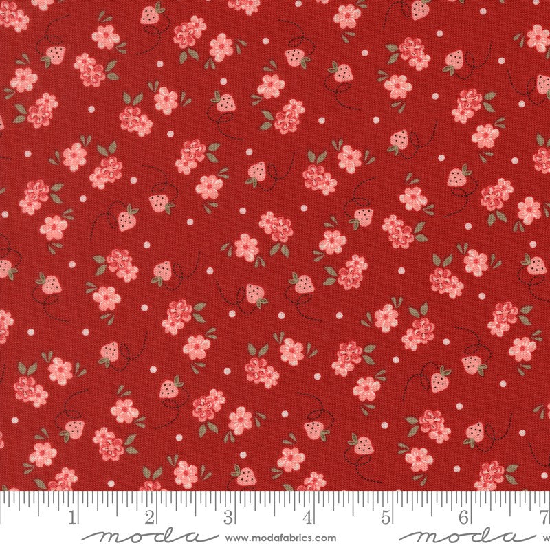 Blossom Jubilee - Charm Pack - Bunny Hill Designs - Moda (Pre-order: Dec 2026)