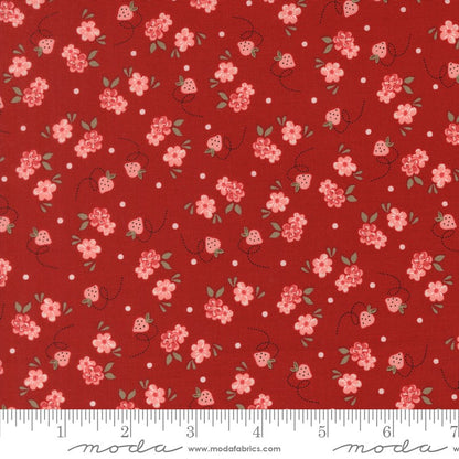 Blossom Jubilee - Jelly Roll - Bunny Hill Designs - Moda (Pre-order: Dec 2026)