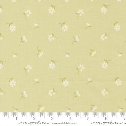 Dear Daisy - Jelly Roll - Heather Briggs - Moda (Pre-order: Mar 2027)