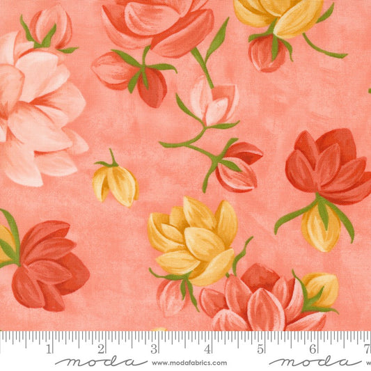 Kindred - Petaluma in Coral - 1 Canoe 2 - Moda