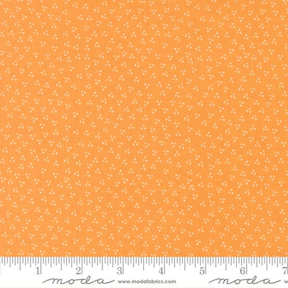 Birch & Willow - Layer Cake - Sherri & Chelsi - Moda (Pre-order: Sept 2026)