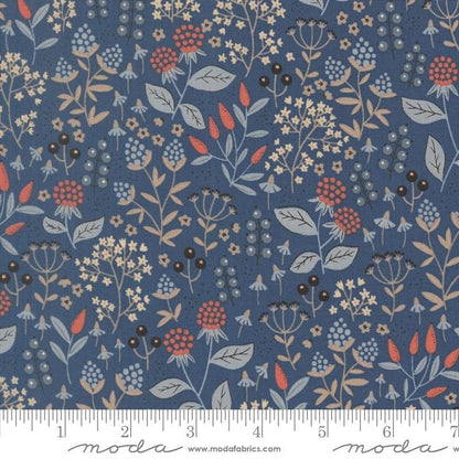 Nature's Sketchbook - Jelly Roll - Elena Amo - Moda (Pre-order: Sept 2026)