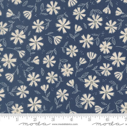 Nature's Sketchbook - Jelly Roll - Elena Amo - Moda (Pre-order: Sept 2026)